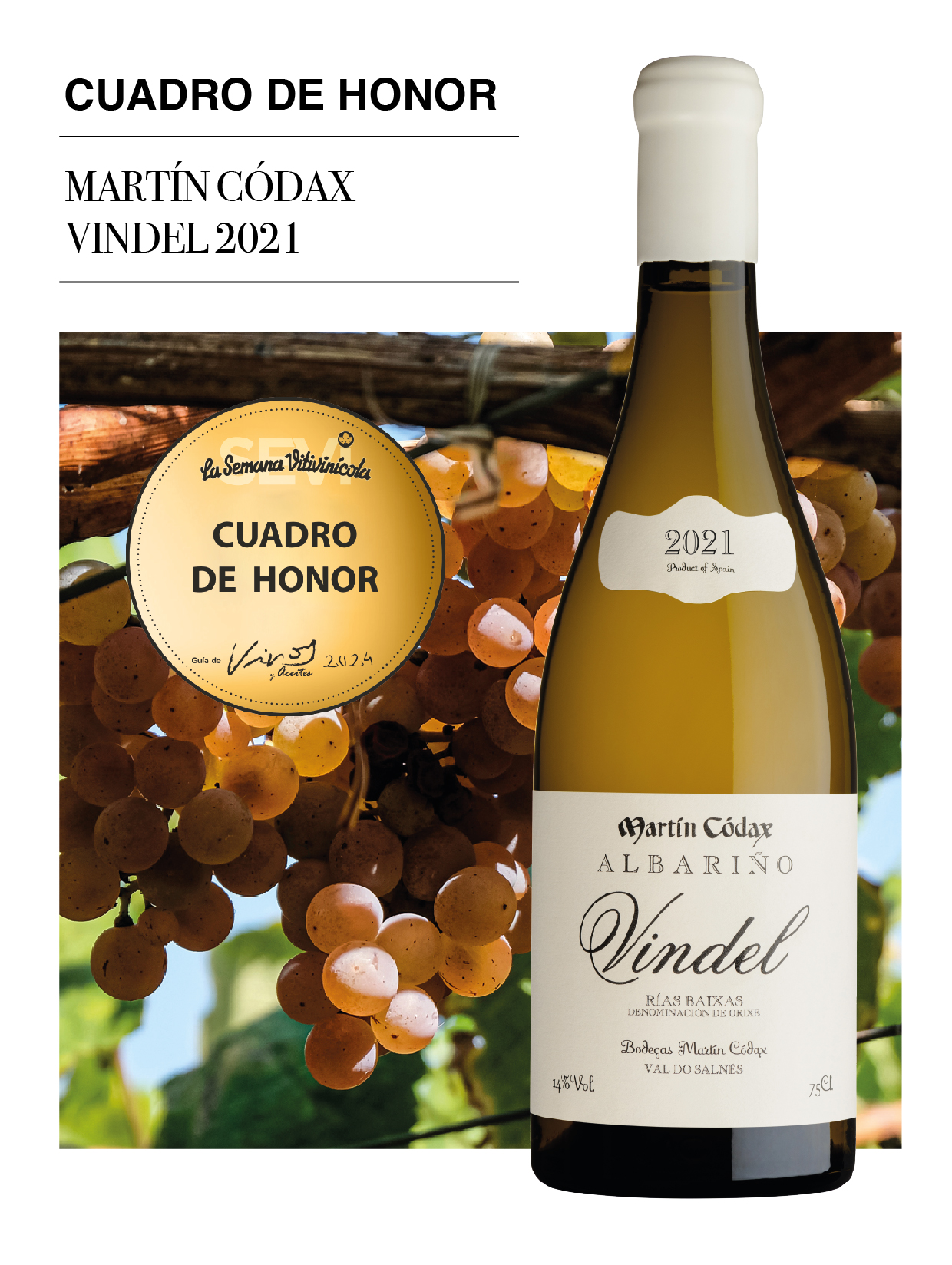 Martín Códax Vindel, distinguido como mejor vino albariño en la Guía de la Semana Vitivinícola 2024