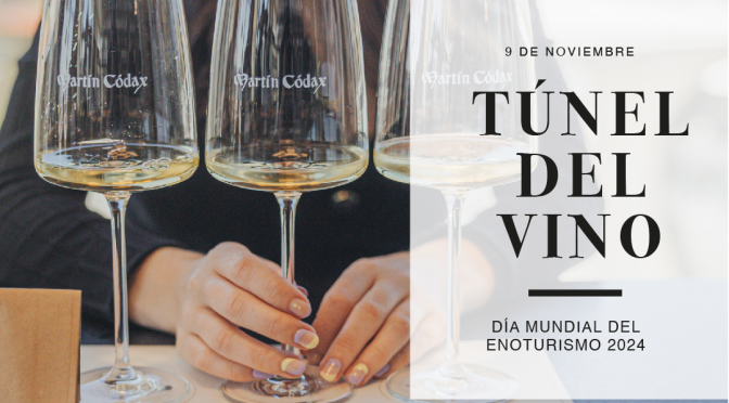 Tunel_vino_DMEnoturismo_2024